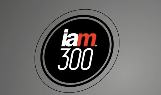 IAM - Strategy 300 Global Leaders includes two IPCG Partners